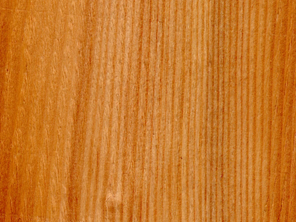 Muestra de madera de abeto blanco europeo (Abies alba).