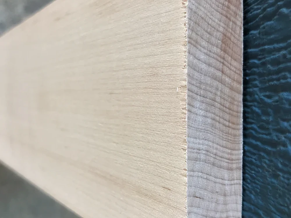 Muestra de madera de arce duro americano (Acer saccharum).