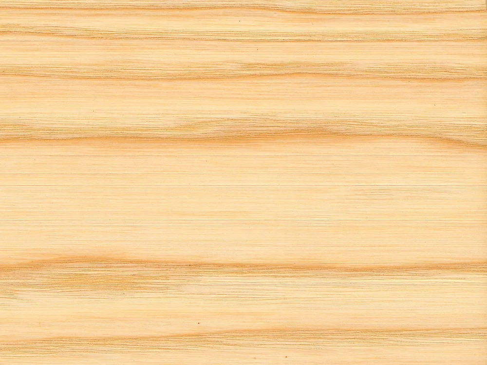 Muestra de madera de fresno con veta marcada (Fraxinus excelsior).
