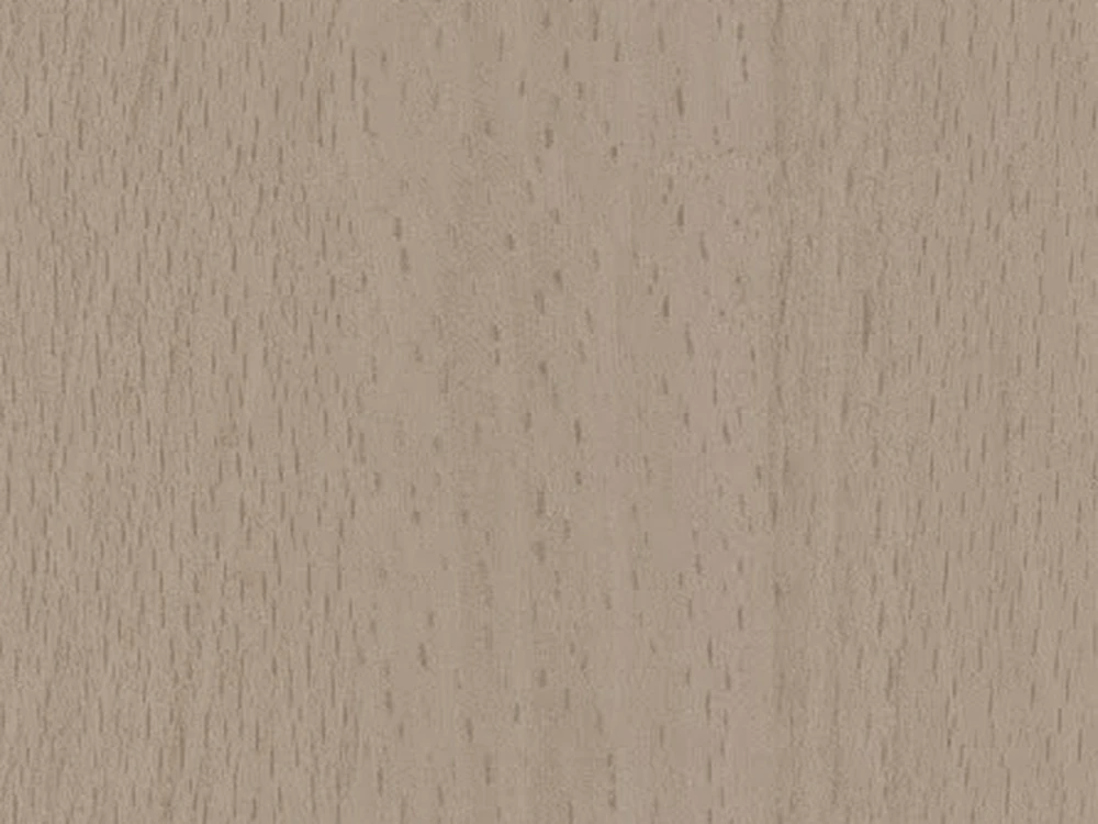 Muestra de madera de haya europea vaporizada (Fagus sylvatica).