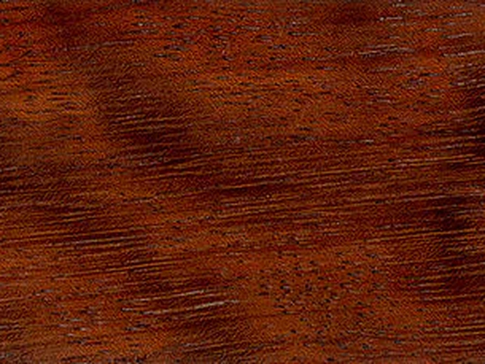 Muestra de madera de iroko africano (Milicia excelsa).