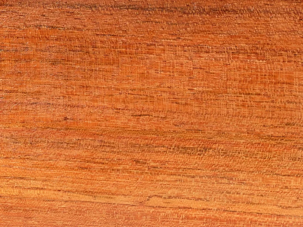 Muestra de madera de jatoba brasileña (Hymenaea courbaril).