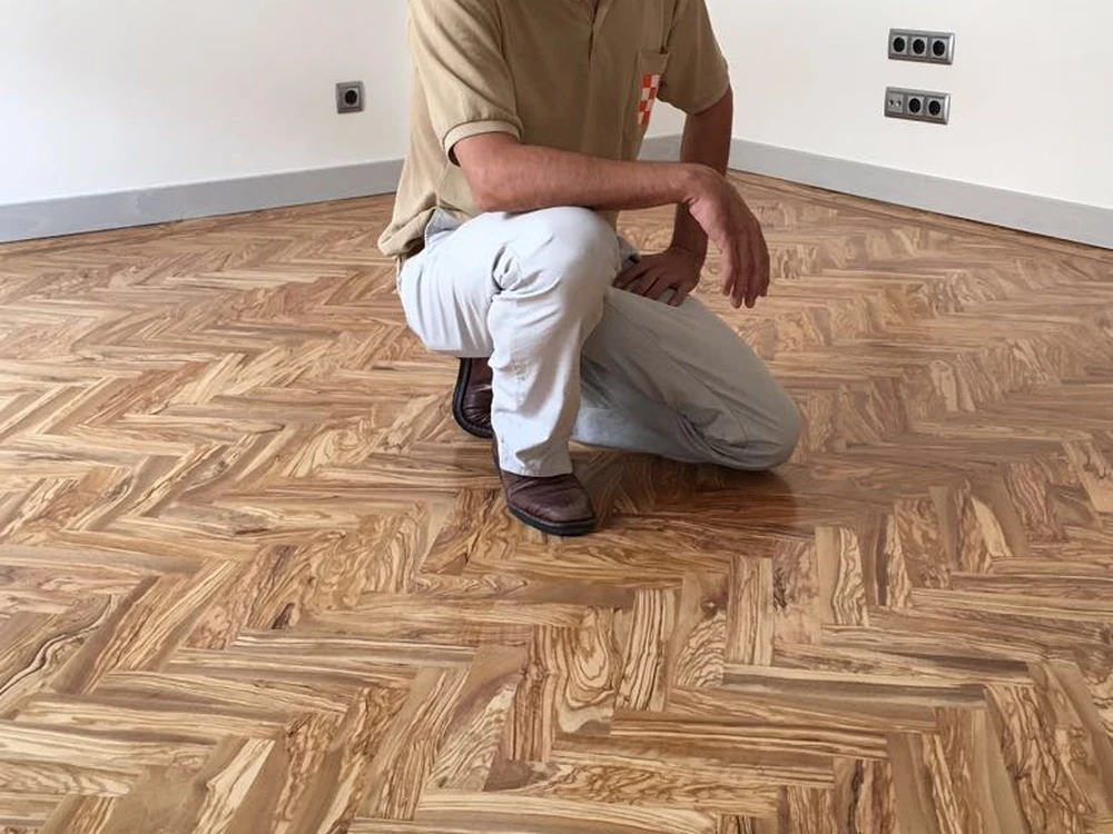 Muestra de Olivo