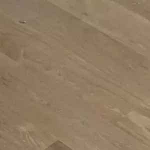 Roble Americano