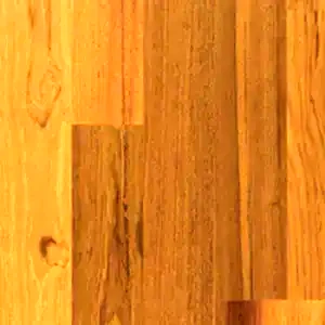 teca 300