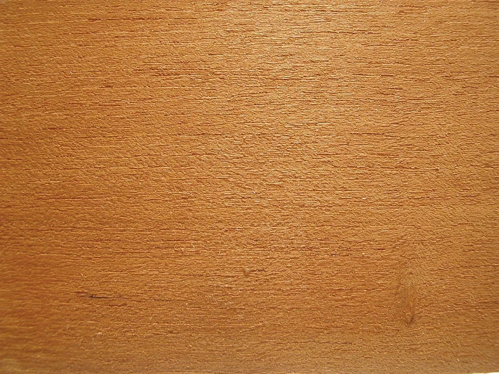 Muestra de madera de teca asiática (Tectona grandis).