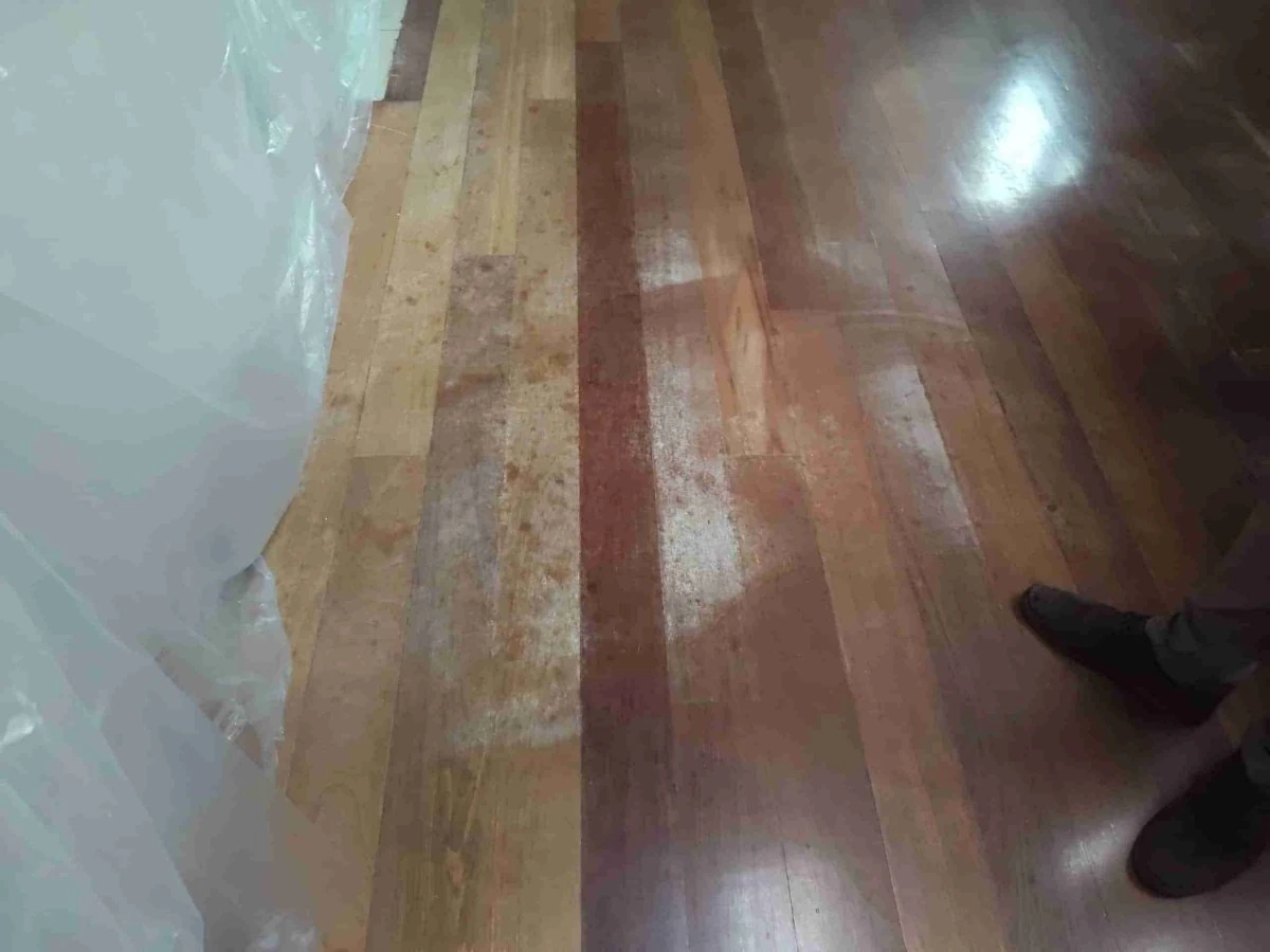 Parquet de tarima con manchas blancas de veladura en barniz de urea formol