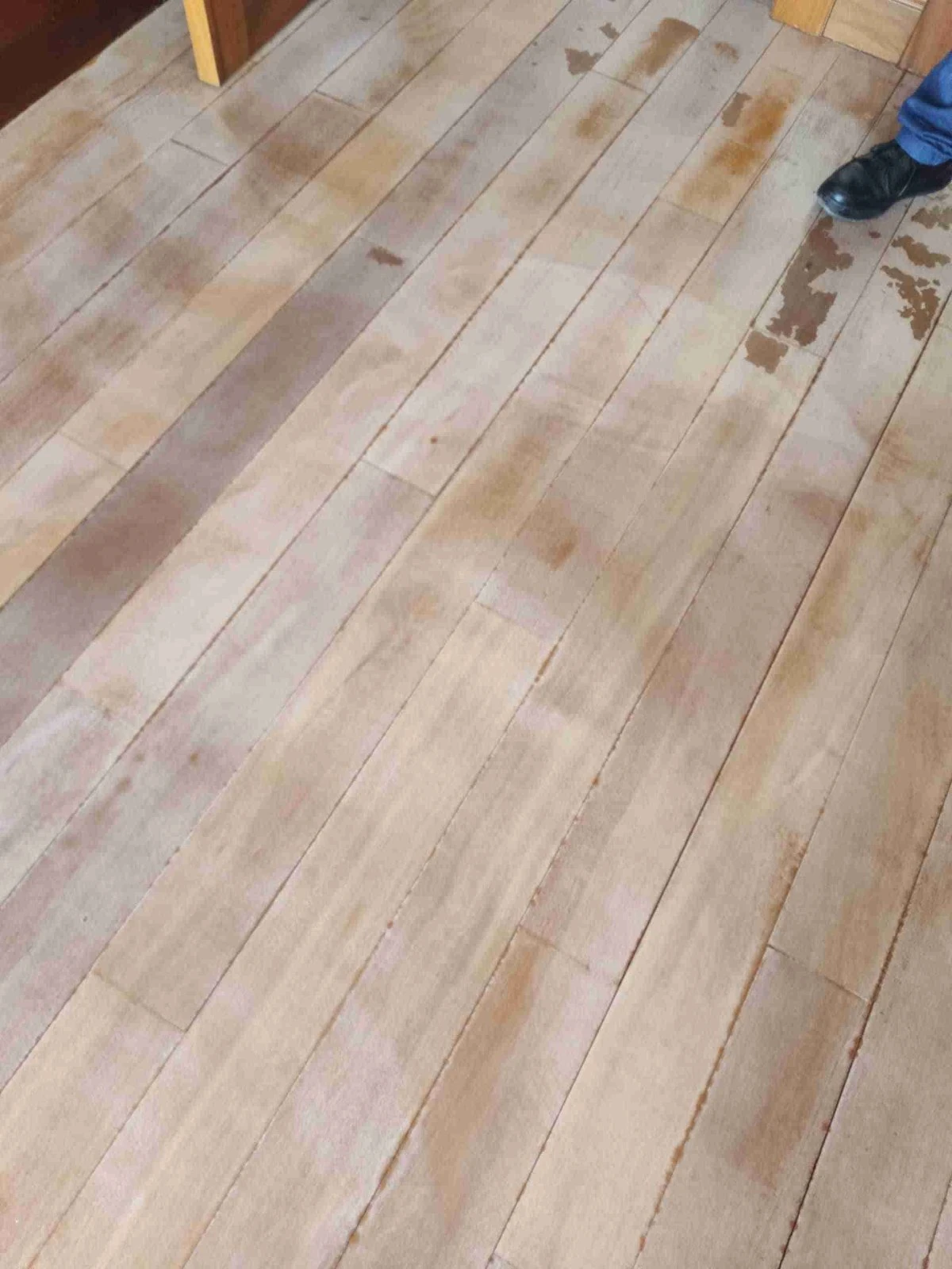 Tarima con película de urea formol blanquecina y manchas oscuras de desgaste