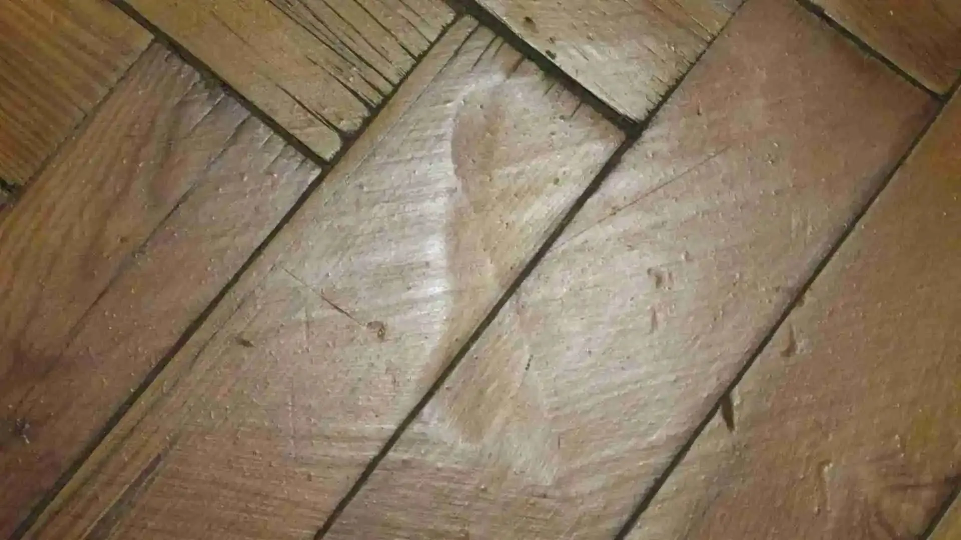 Marca de lija y parada de maquina en parquet mal acuchillado