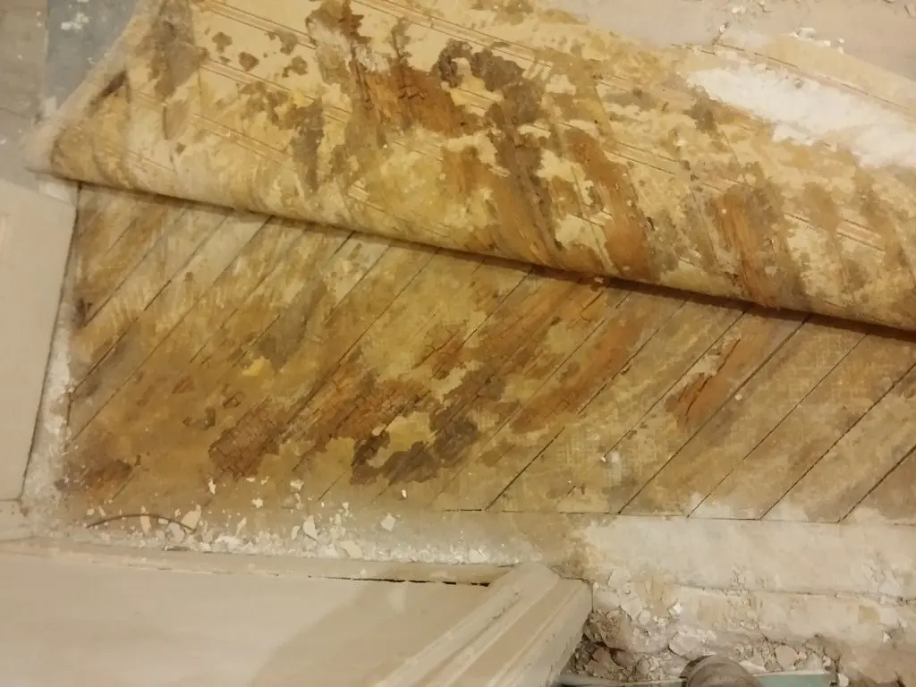 Tarima de pino melis con humedad y restos de pegamento de moqueta