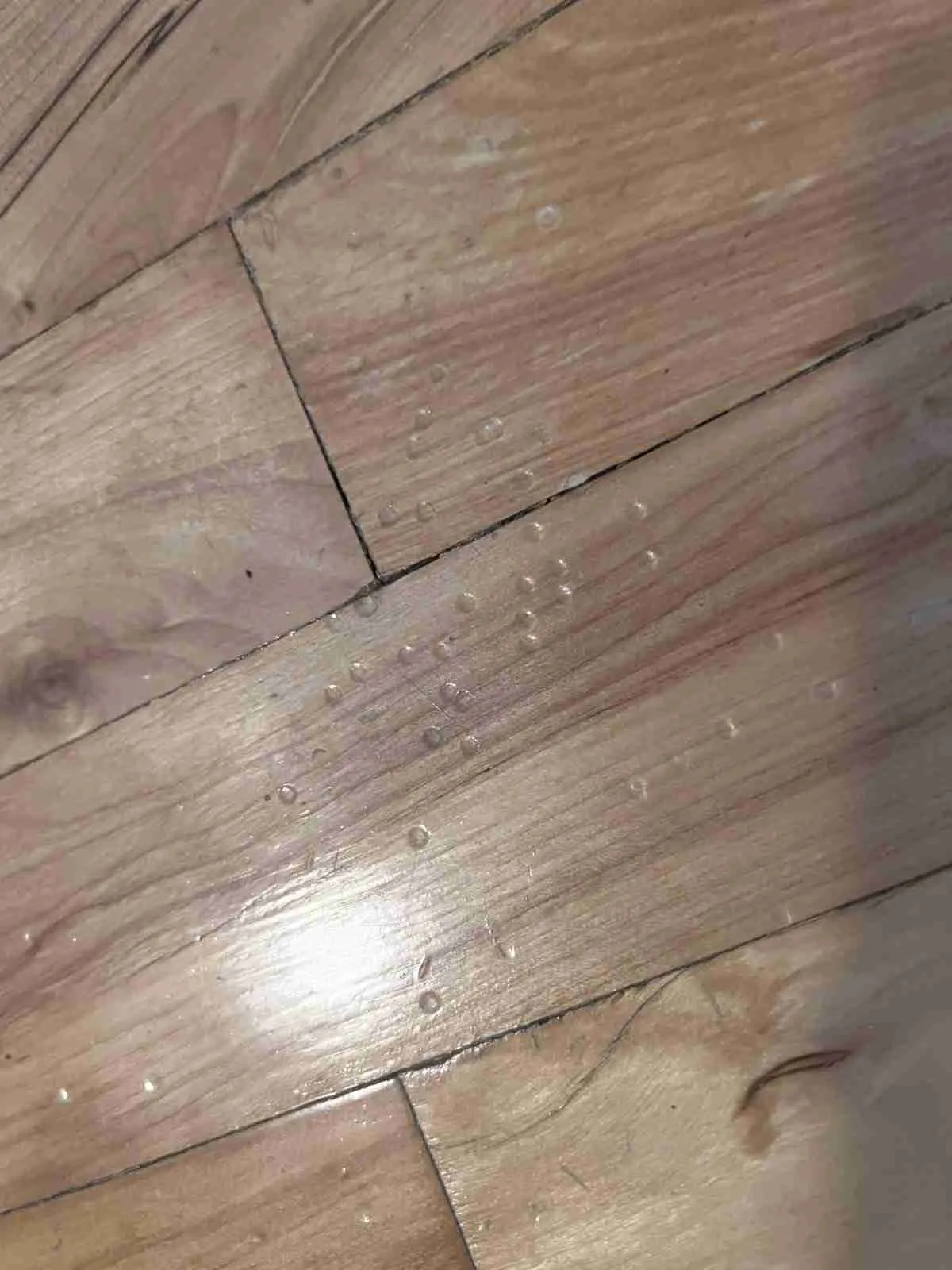Marca de tacón redondo sobre parquet