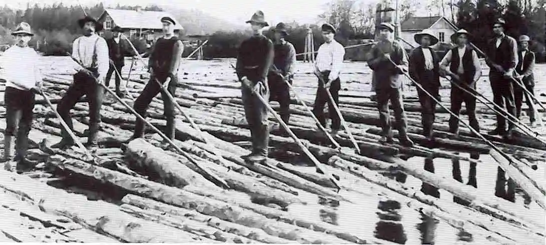 Transporte fluvial histórico de troncos de pino