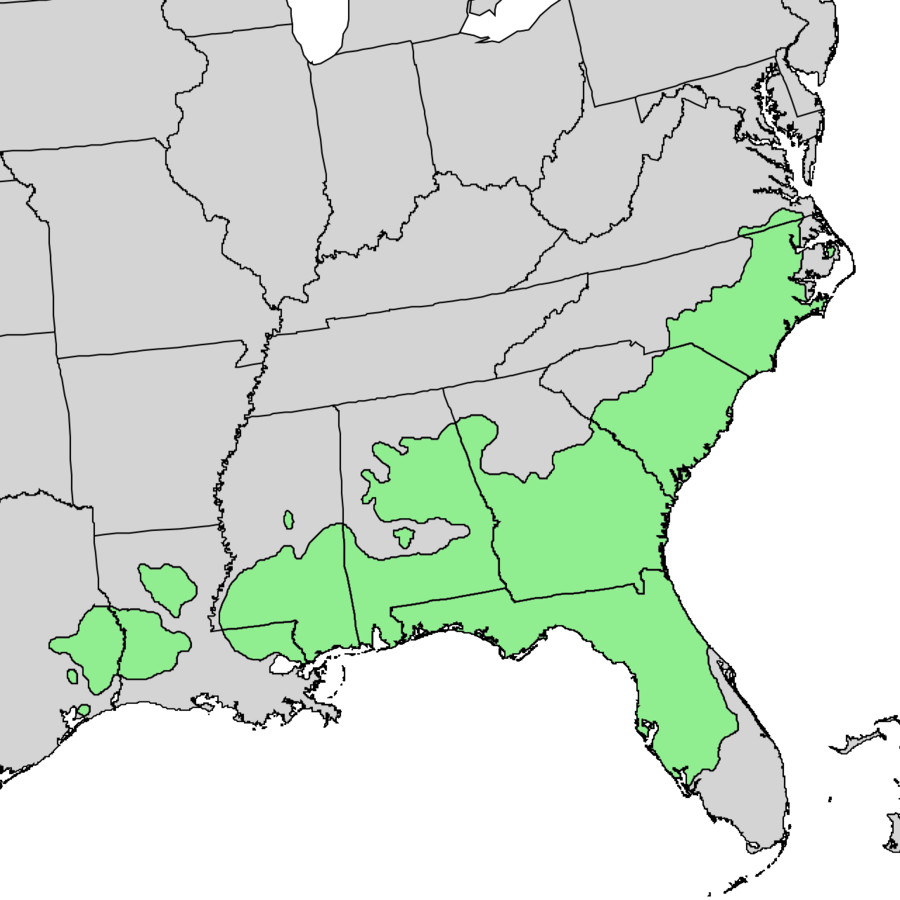 Mapa histórico de distribución del pino de hoja larga en el sureste de Estados Unidos
