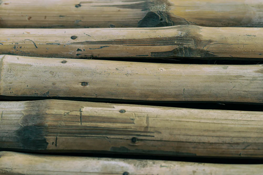 Textura de bambú