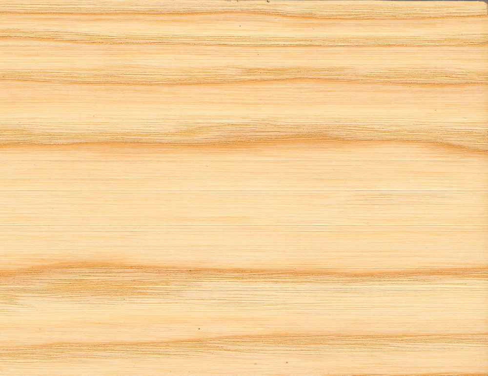 Madera de fresno (sección tangencial)
