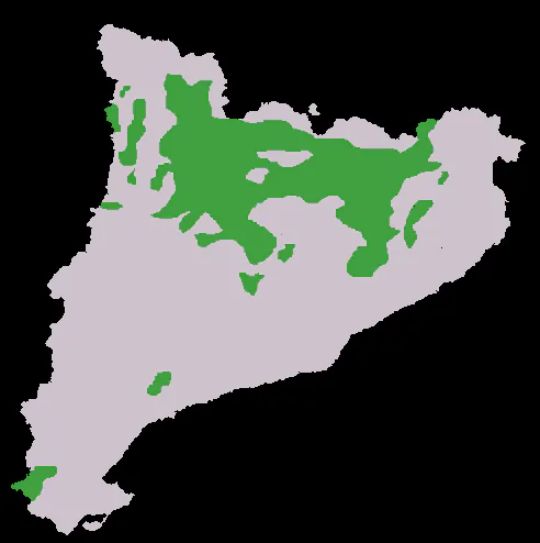 Distribución del pi roig (Pinus sylvestris) en Cataluña